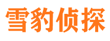 遵义市场调查